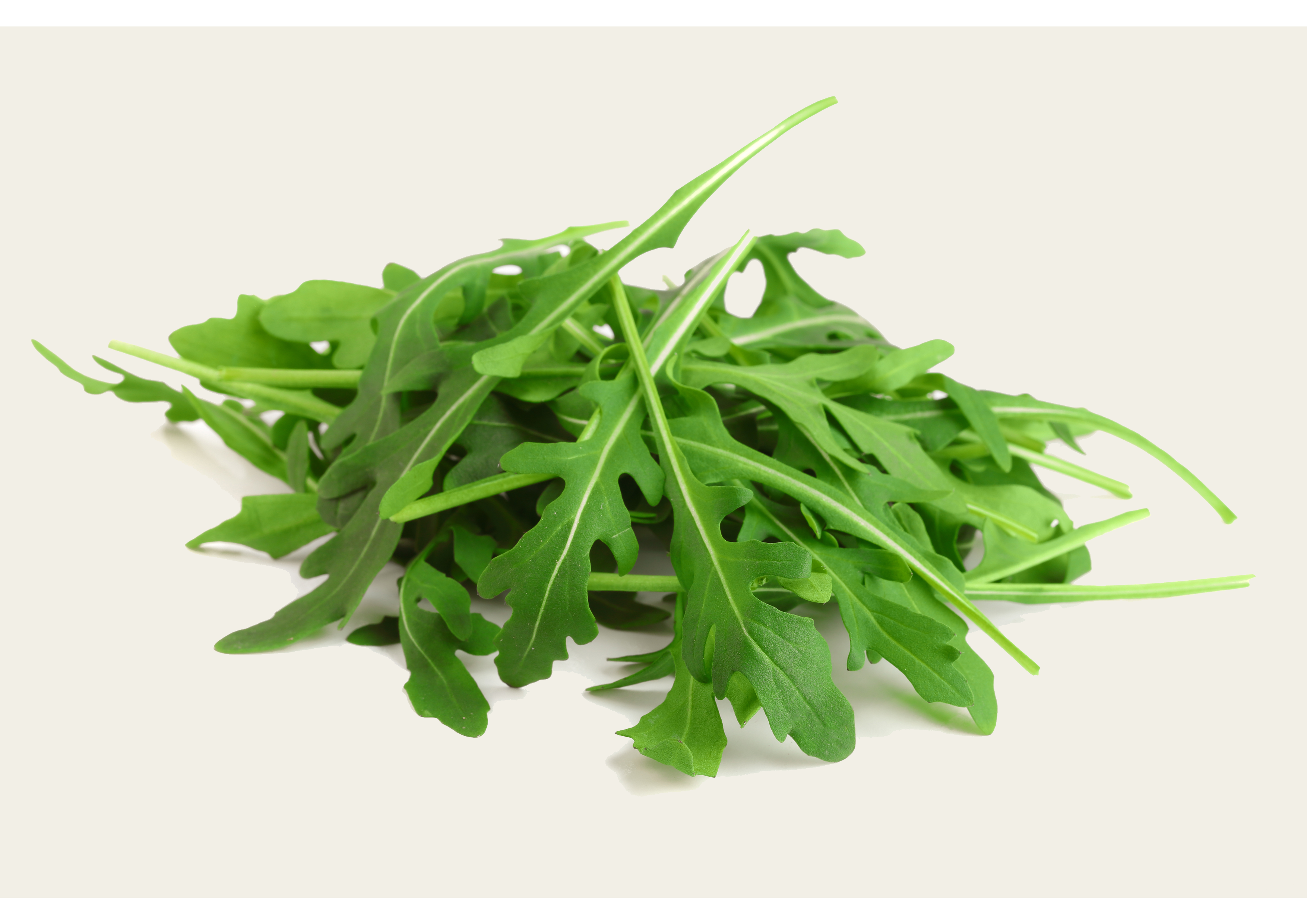 Wild Roquette 100g Punnet